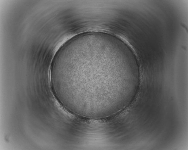 X0000103161032200809051655