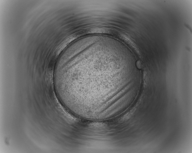 X0000103161033200809051655