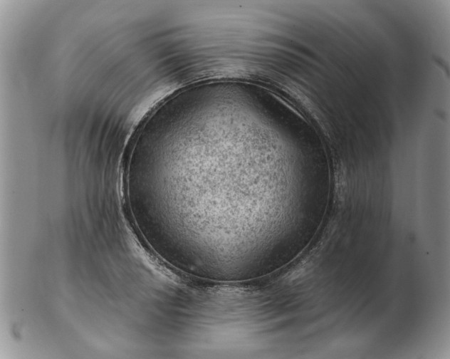 X0000103161034200809051655