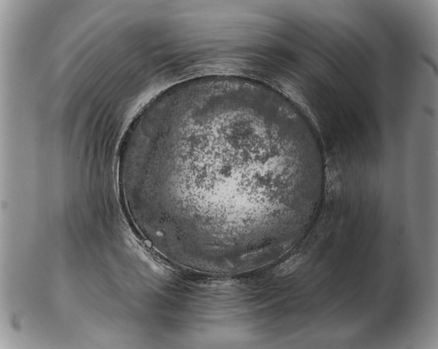 X0000103161035200809051655