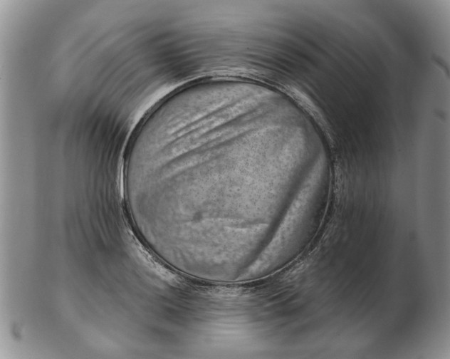 X0000103161036200809051655