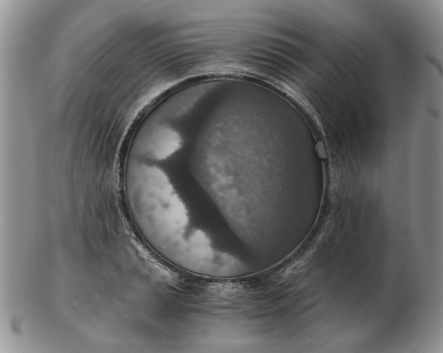 X0000103161037200809051655