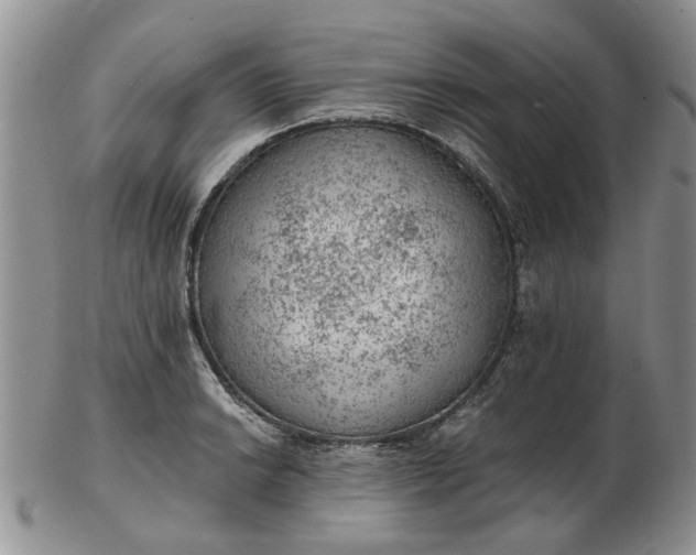 X0000103161038200809051655