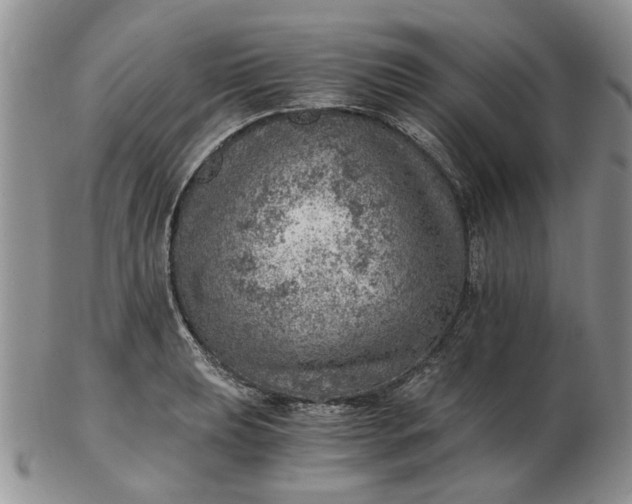 X0000103161039200809051655