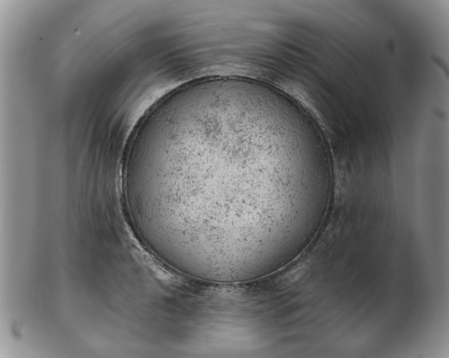 X0000103161040200809051655