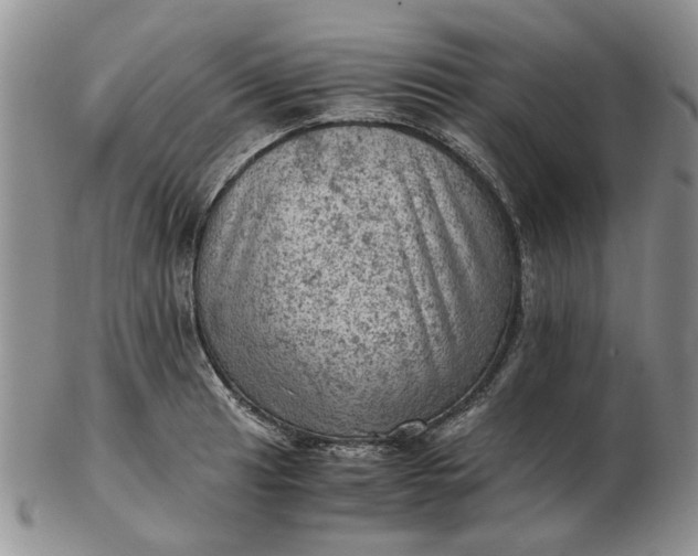 X0000103161041200809051655