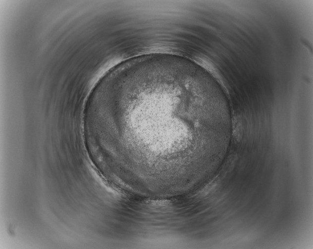 X0000103161043200809051655