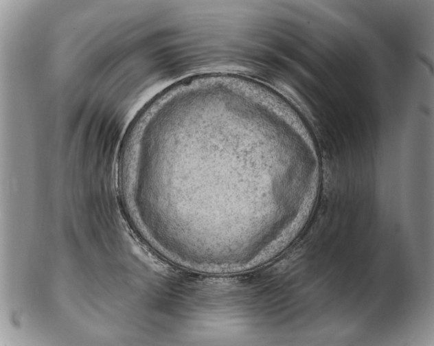 X0000103161044200809051655