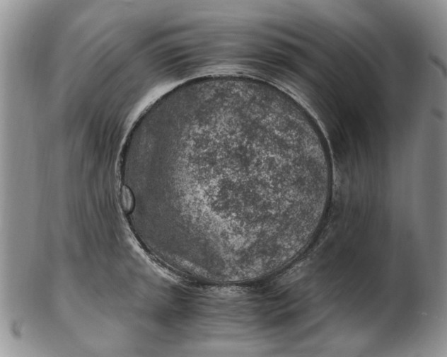 X0000103161045200809051655