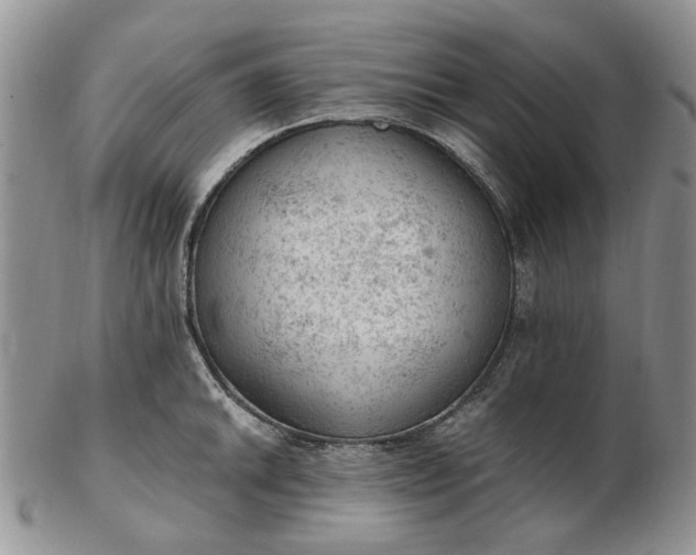 X0000103161046200809051655