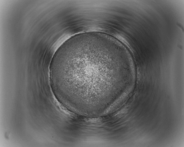 X0000103161047200809051655