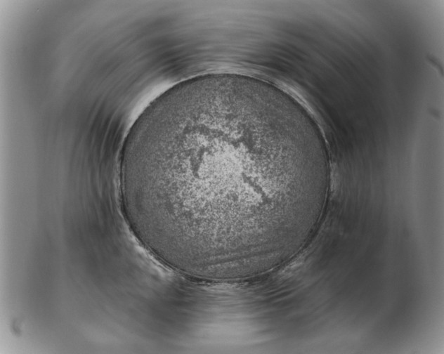 X0000103161048200809051655