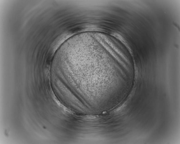 X0000103161049200809051655