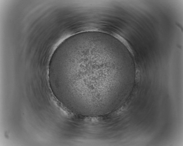 X0000103161051200809051655