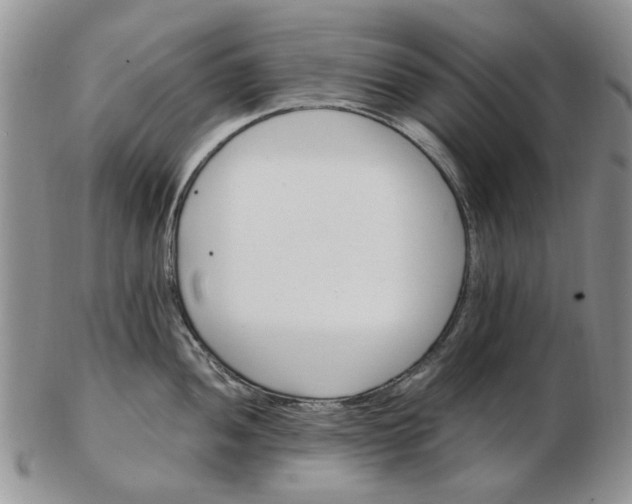 X0000103161052200809051655