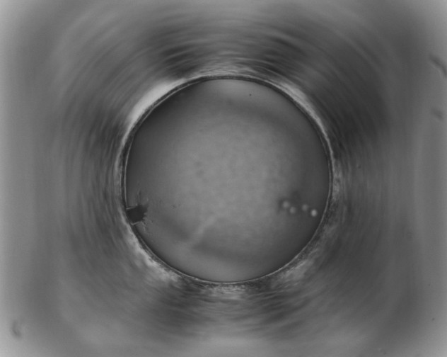 X0000103161053200809051655