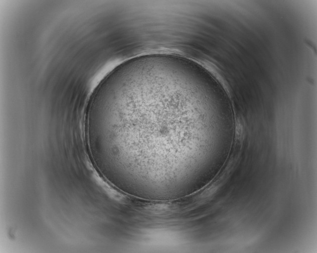 X0000103161054200809051655