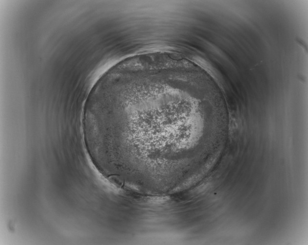 X0000103161055200809051655