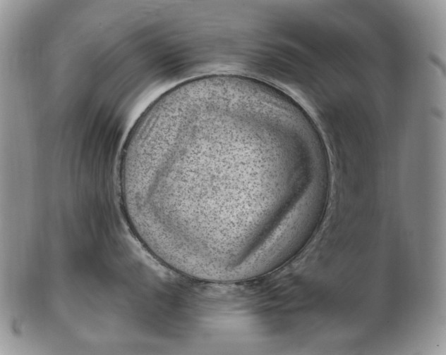 X0000103161056200809051655