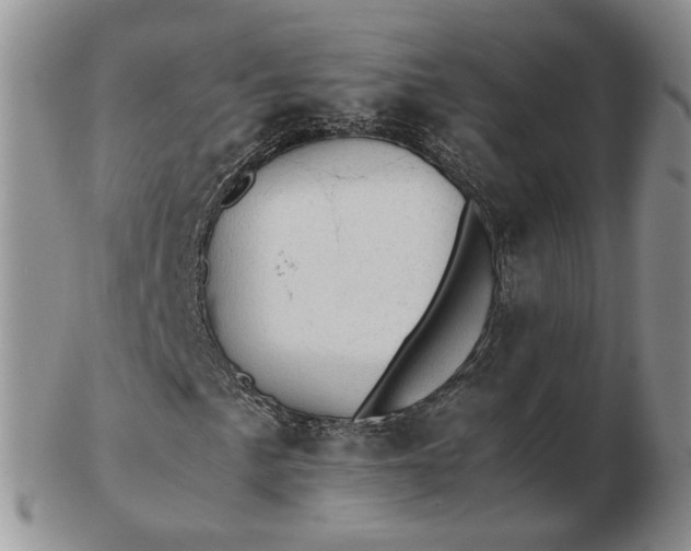 X0000103161057200809051655