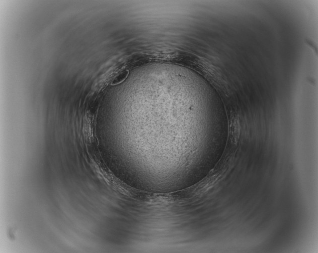 X0000103161058200809051655