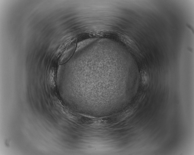 X0000103161060200809051654