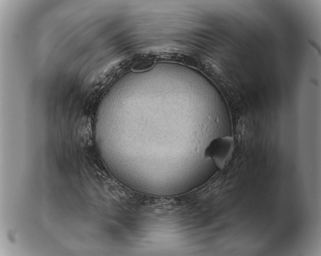 X0000103161062200809051654