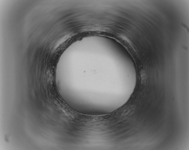 X0000103161064200809051654