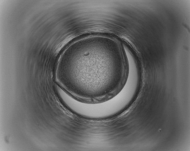 X0000103161065200809051654