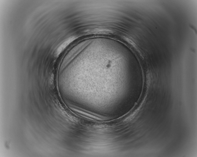 X0000103161066200809051654