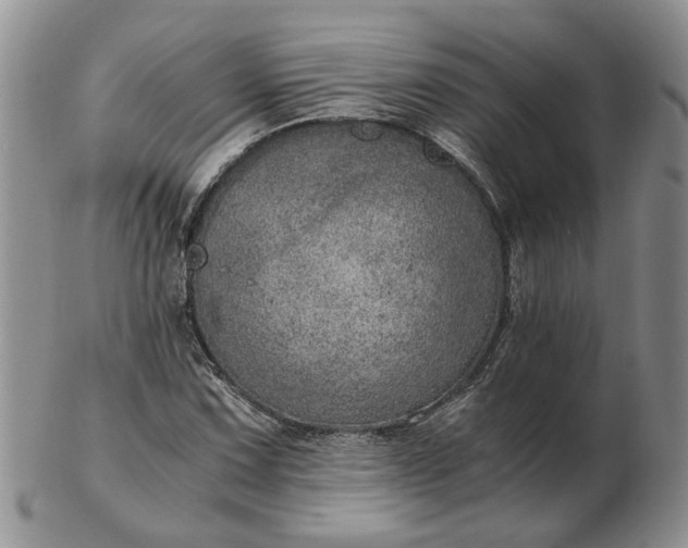 X0000103161067200809051654