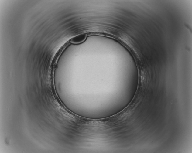 X0000103161068200809051654