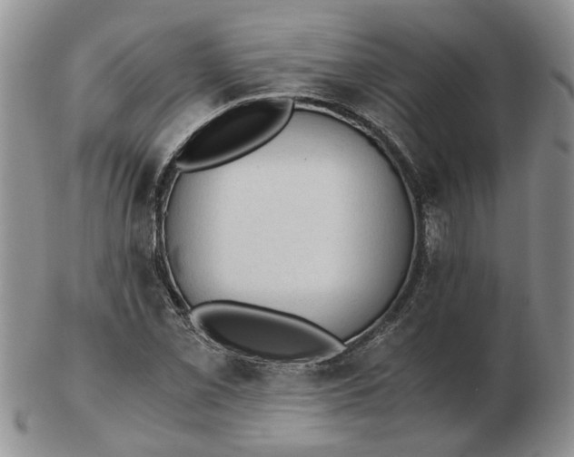 X0000103161069200809051654