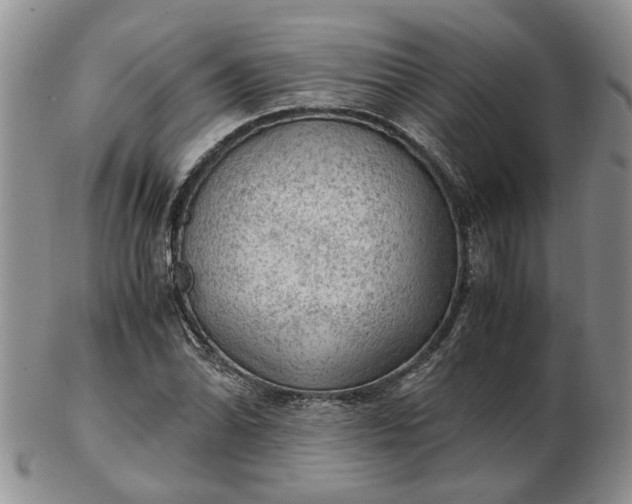 X0000103161070200809051654