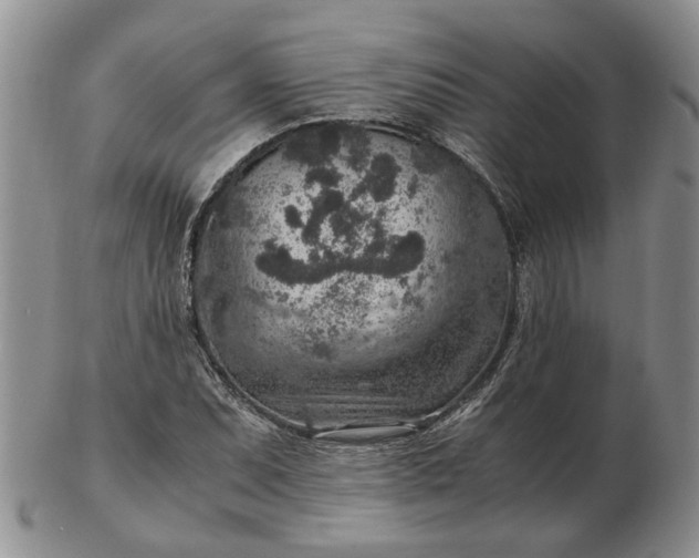 X0000103161071200809051654