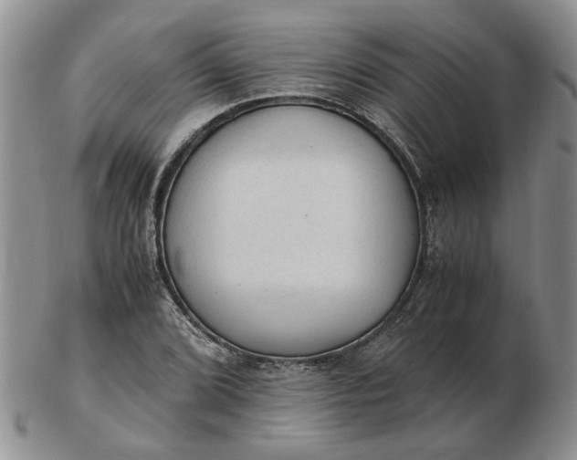 X0000103161072200809051654