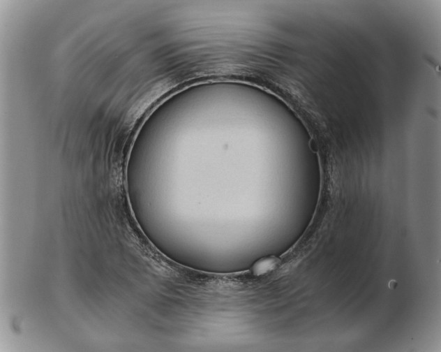 X0000103161073200809051654