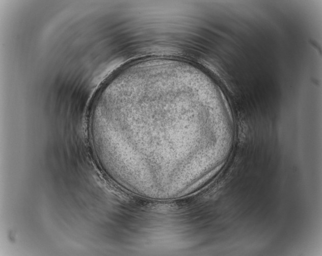 X0000103161074200809051654