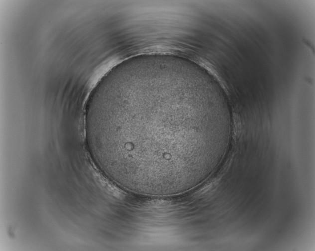 X0000103161075200809051654