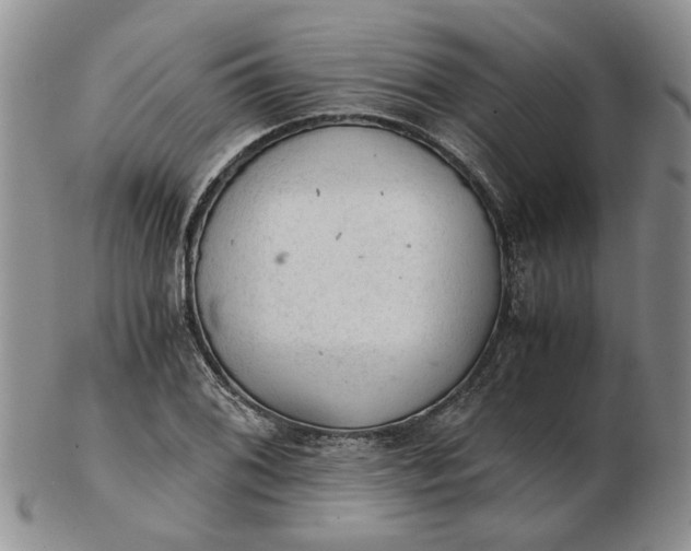 X0000103161076200809051654