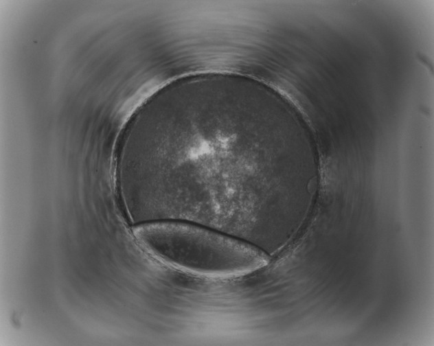 X0000103161077200809051654