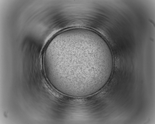 X0000103161078200809051654