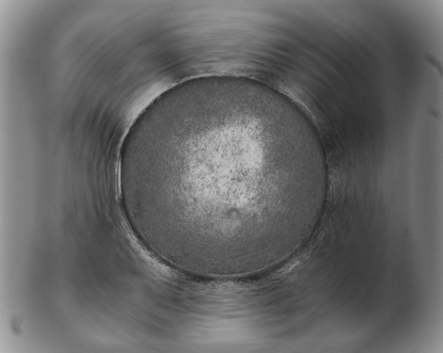 X0000103161079200809051654