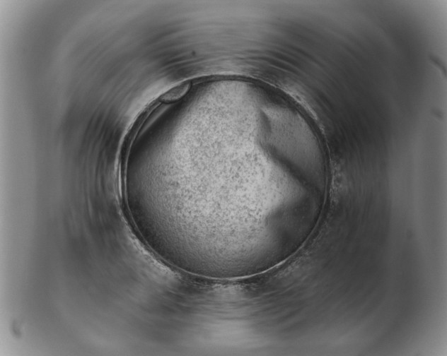 X0000103161080200809051654