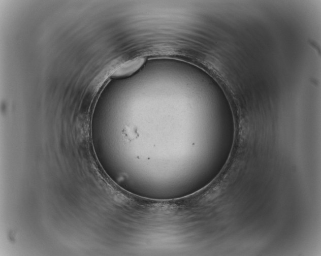 X0000103161081200809051654