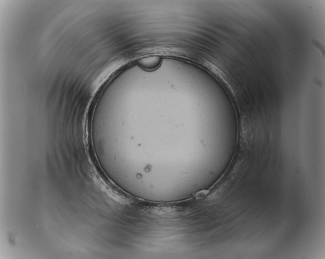 X0000103161082200809051654