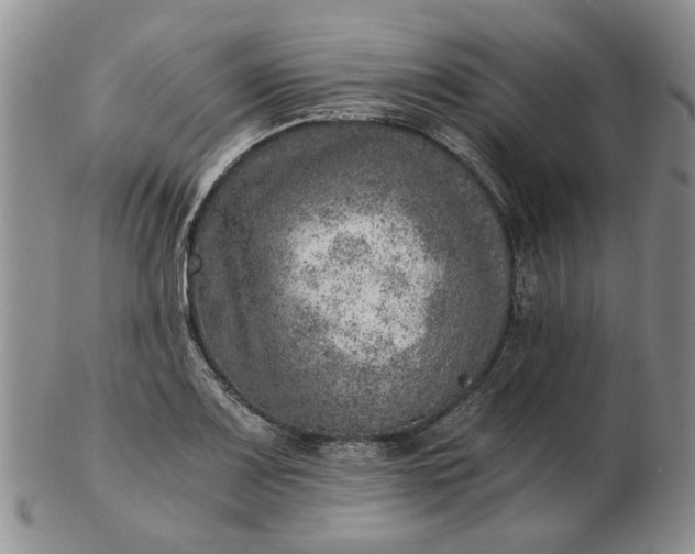 X0000103161083200809051654