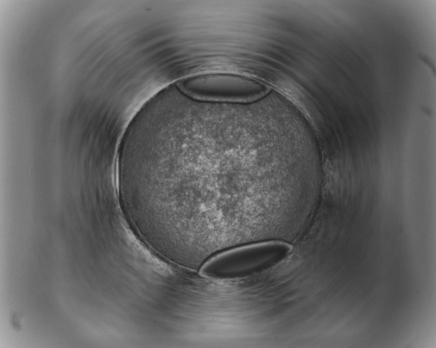 X0000103161084200809051654