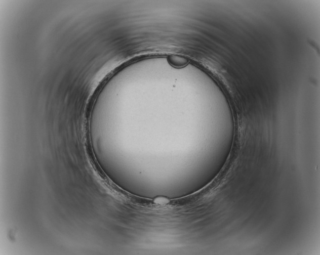 X0000103161085200809051654