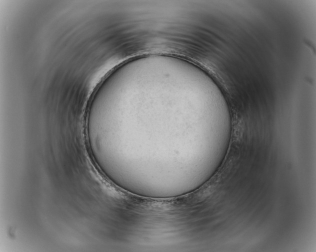 X0000103161086200809051654